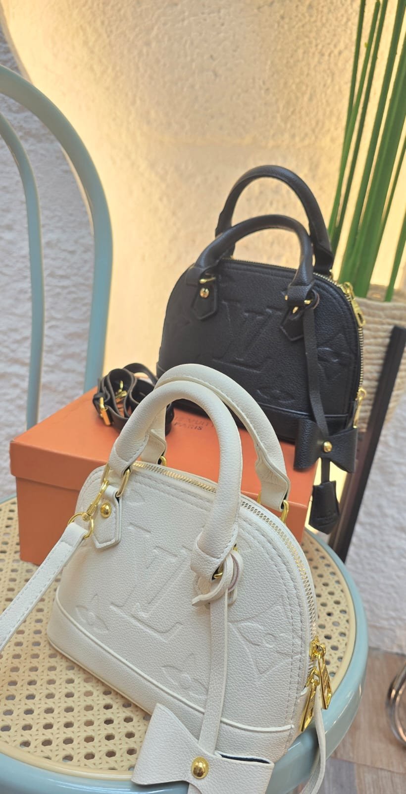 Louis Vuitton Bolso